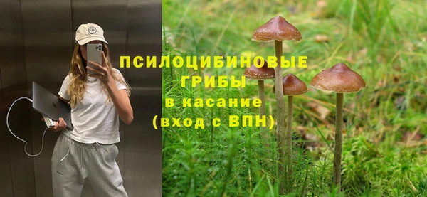 ГАЛЛЮЦИНОГЕННЫЕ ГРИБЫ Арсеньев