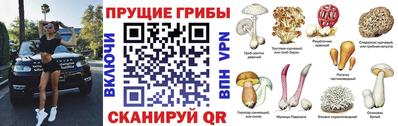 Псилоцибиновые грибы GOLDEN TEACHER  Судак 