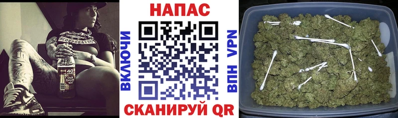 Каннабис сатива  где продают   Судак 